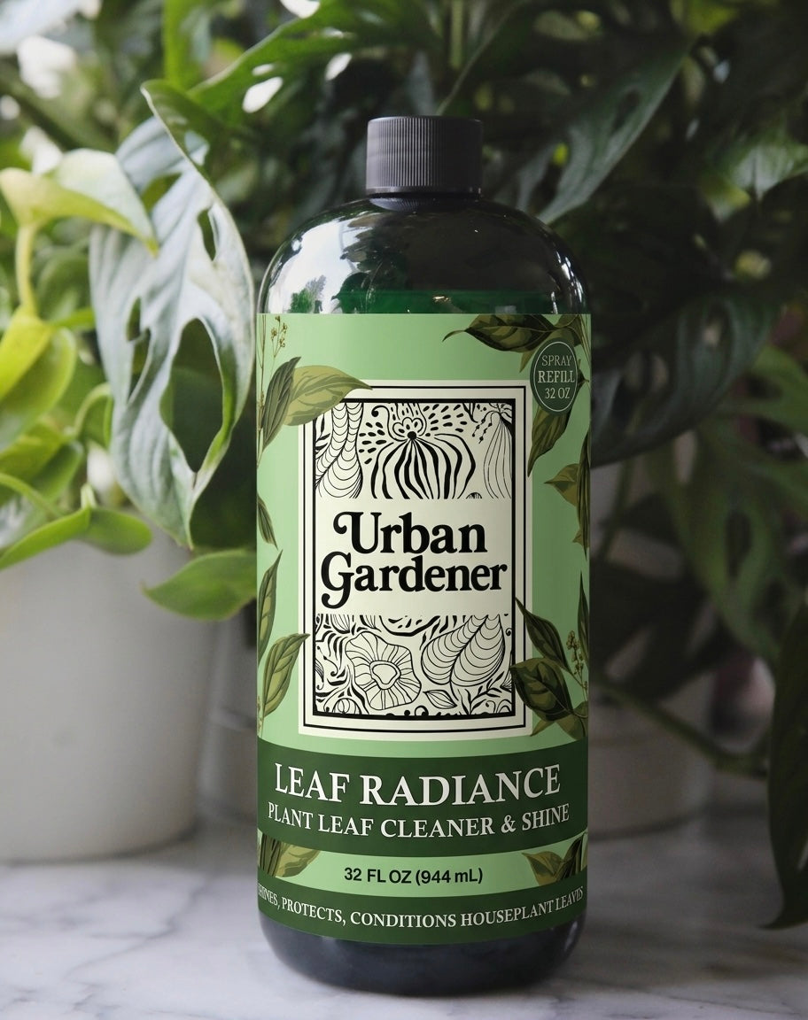 Leaf Cleaner & Shine for Houseplants
