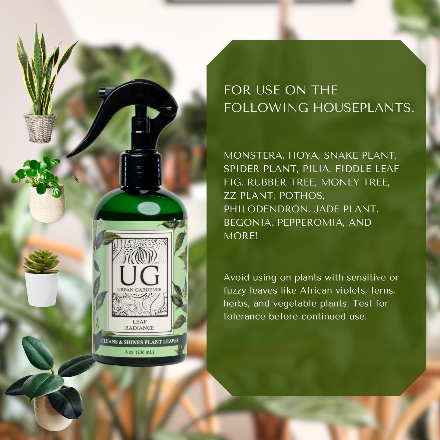 Leaf Radiance - Cleaner, Conditioner, Shine