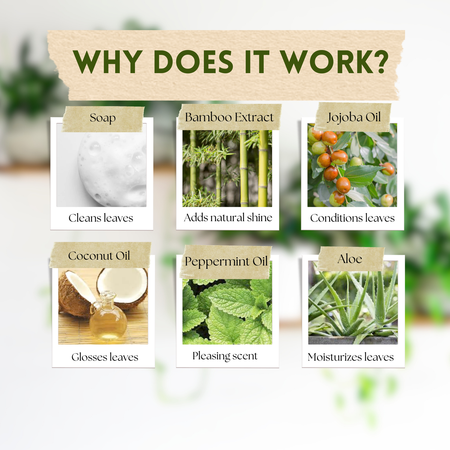 Leaf Radiance - Cleaner, Conditioner, Shine