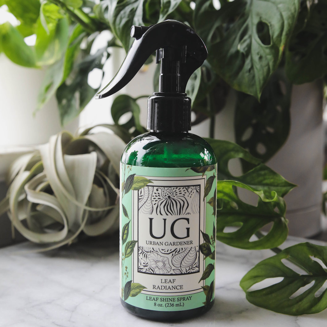 Leaf Radiance - Cleaner, Conditioner, Shine