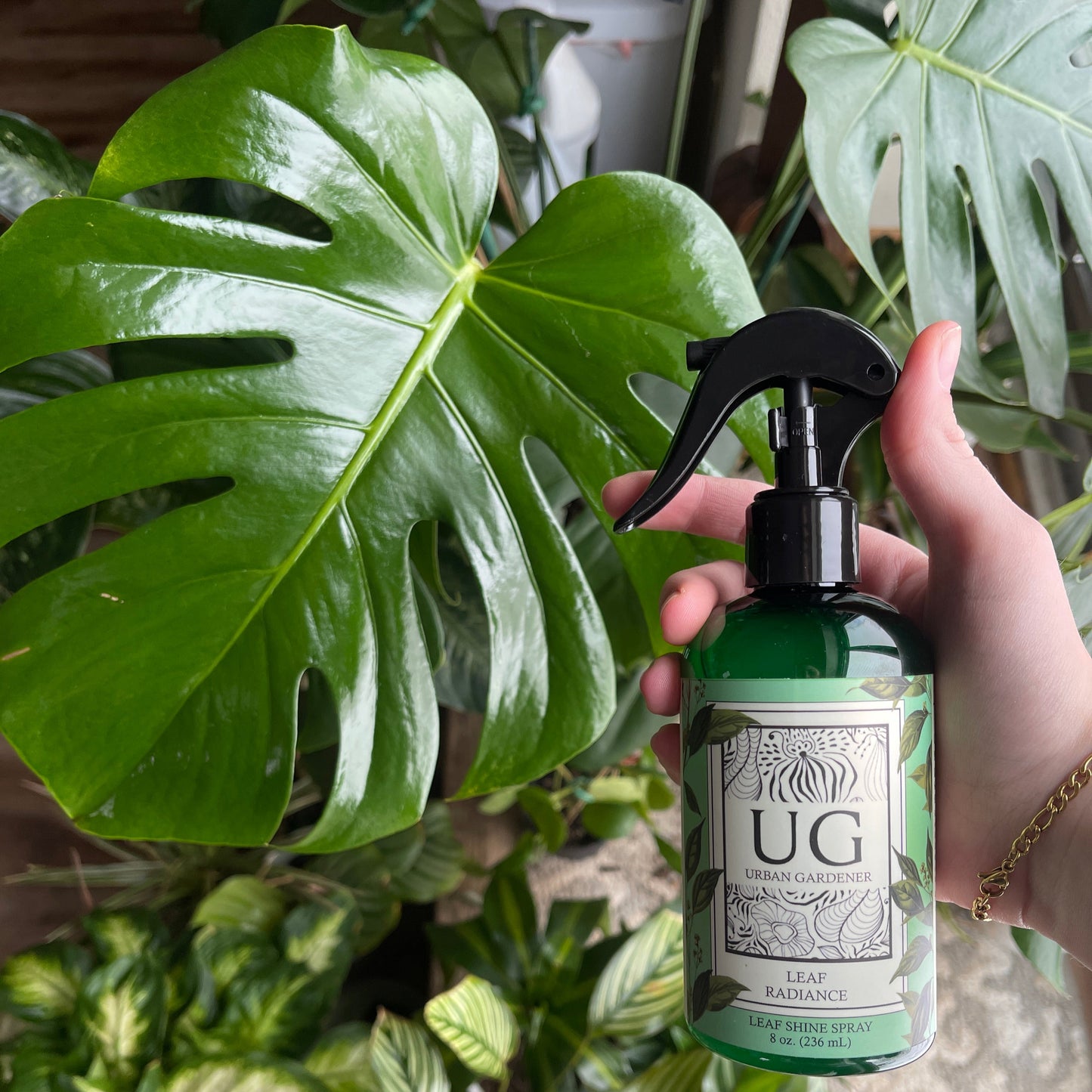 Leaf Shine Spray