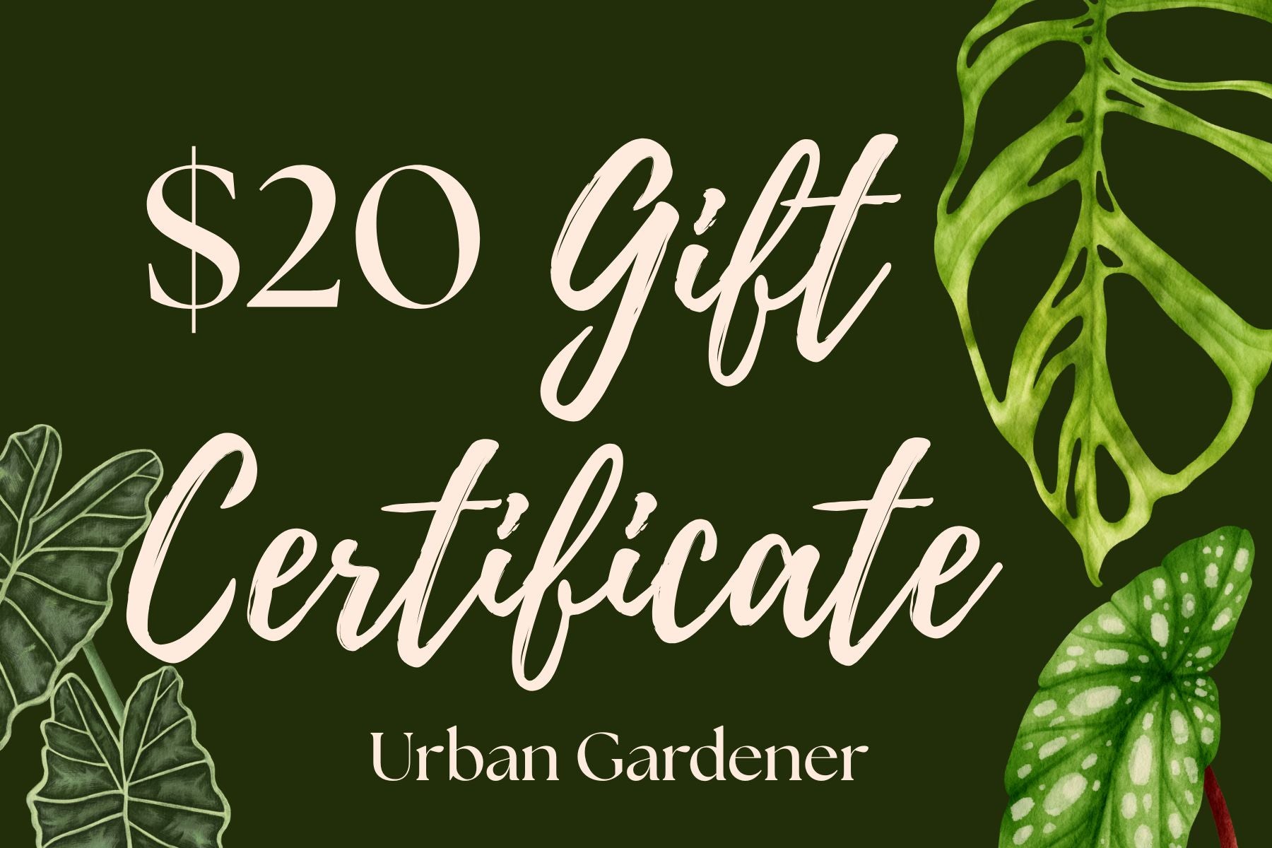 Plant Care Gift Card – Urban Gardener