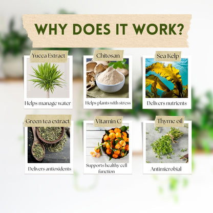 Super Growth Elixir - Total Plant Health Spray