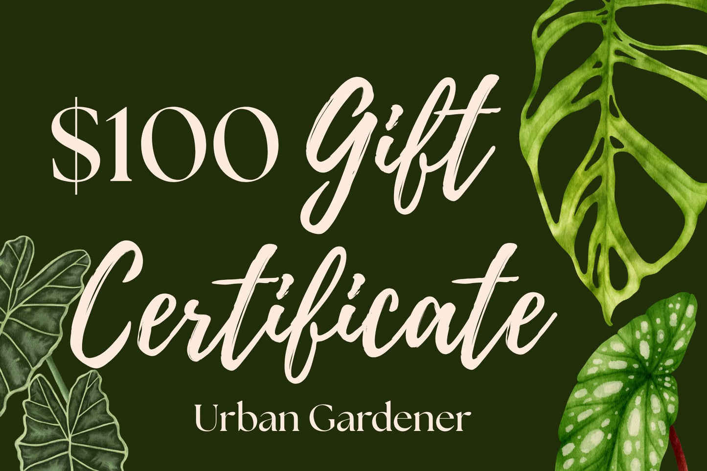 Plant Care Gift Card