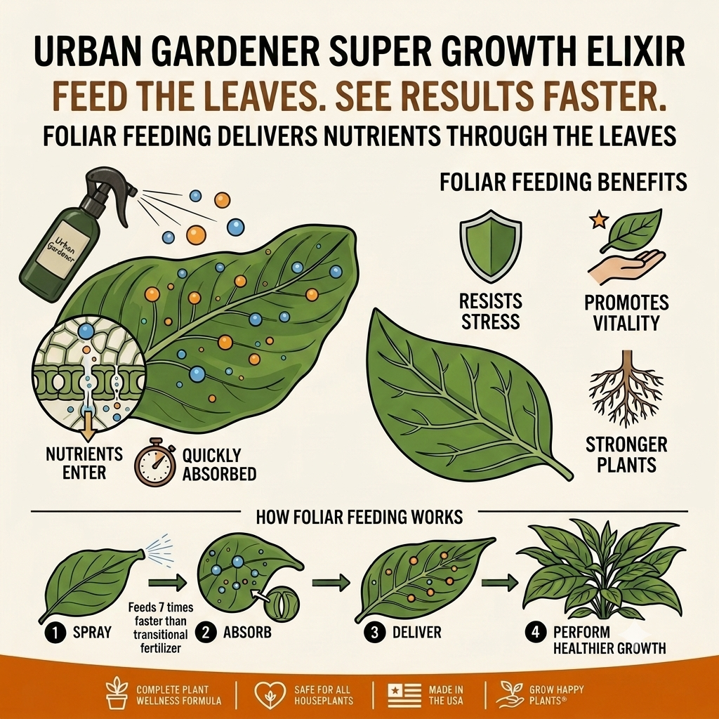 Illustration explaining foliar feeding benefits