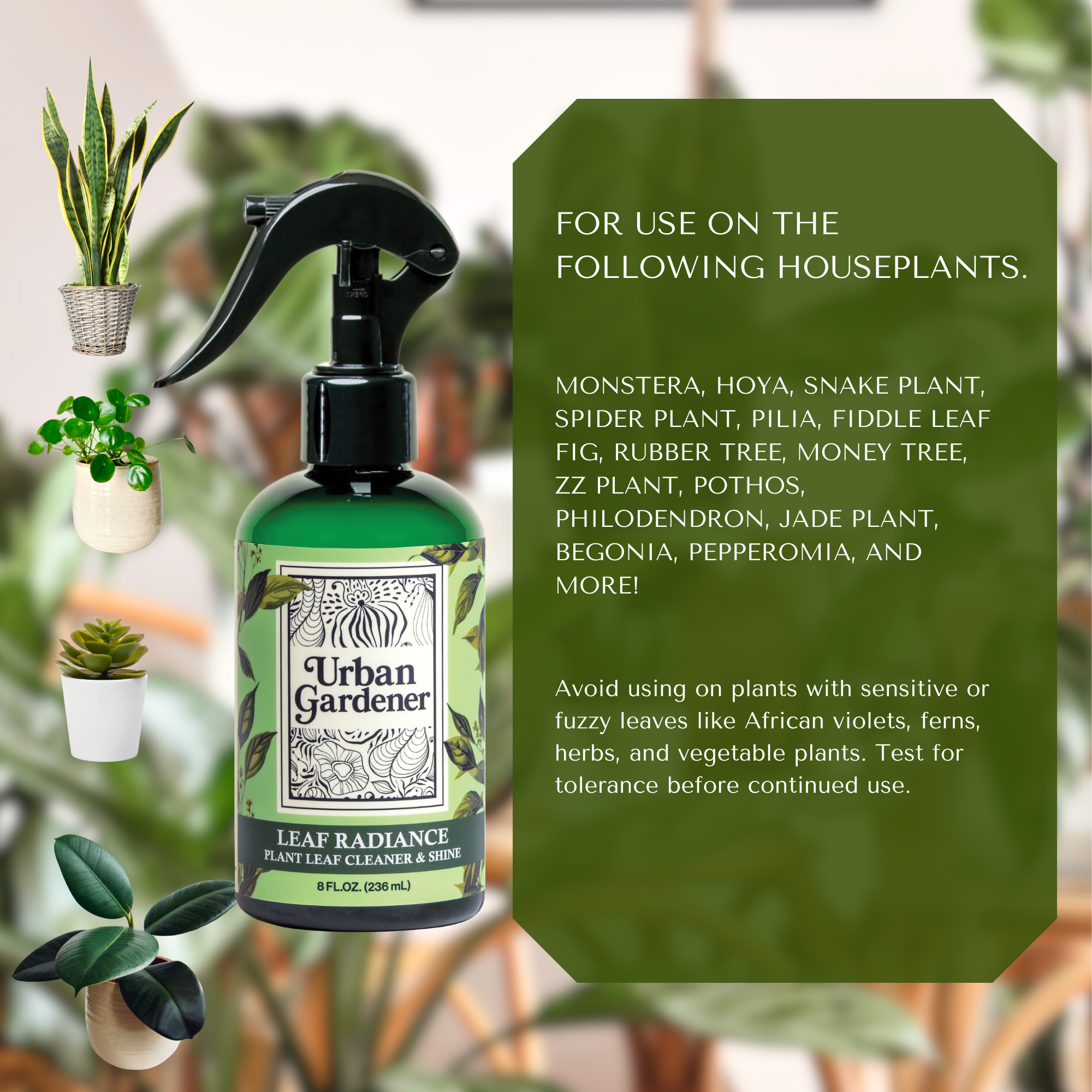 Urban Gardener Leaf Radiance Leaf Cleaner - Thumbnail 4