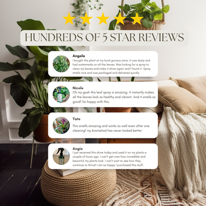 UG 3 Pack Kit - Super Growth Elixir, Say No To Bugs, Leaf Radiance