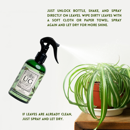 Leaf Radiance - Cleaner, Conditioner, Shine
