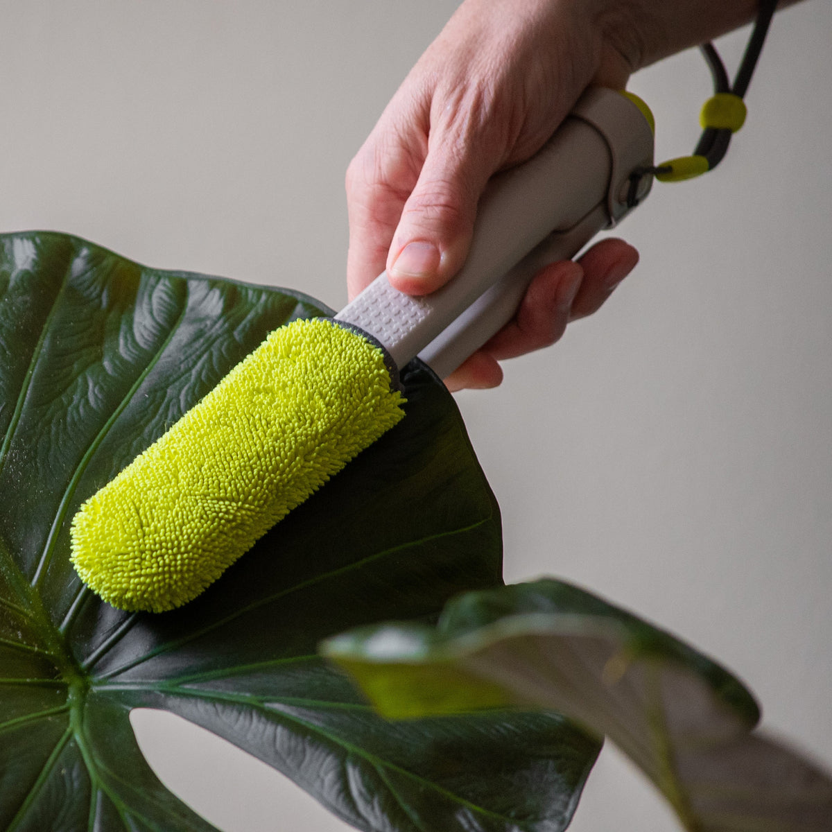 Leaf Sweep Combo Cover Refills - 1 Pair