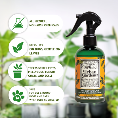 house plant safe insecticide Natural Houseplant Insect Treatment