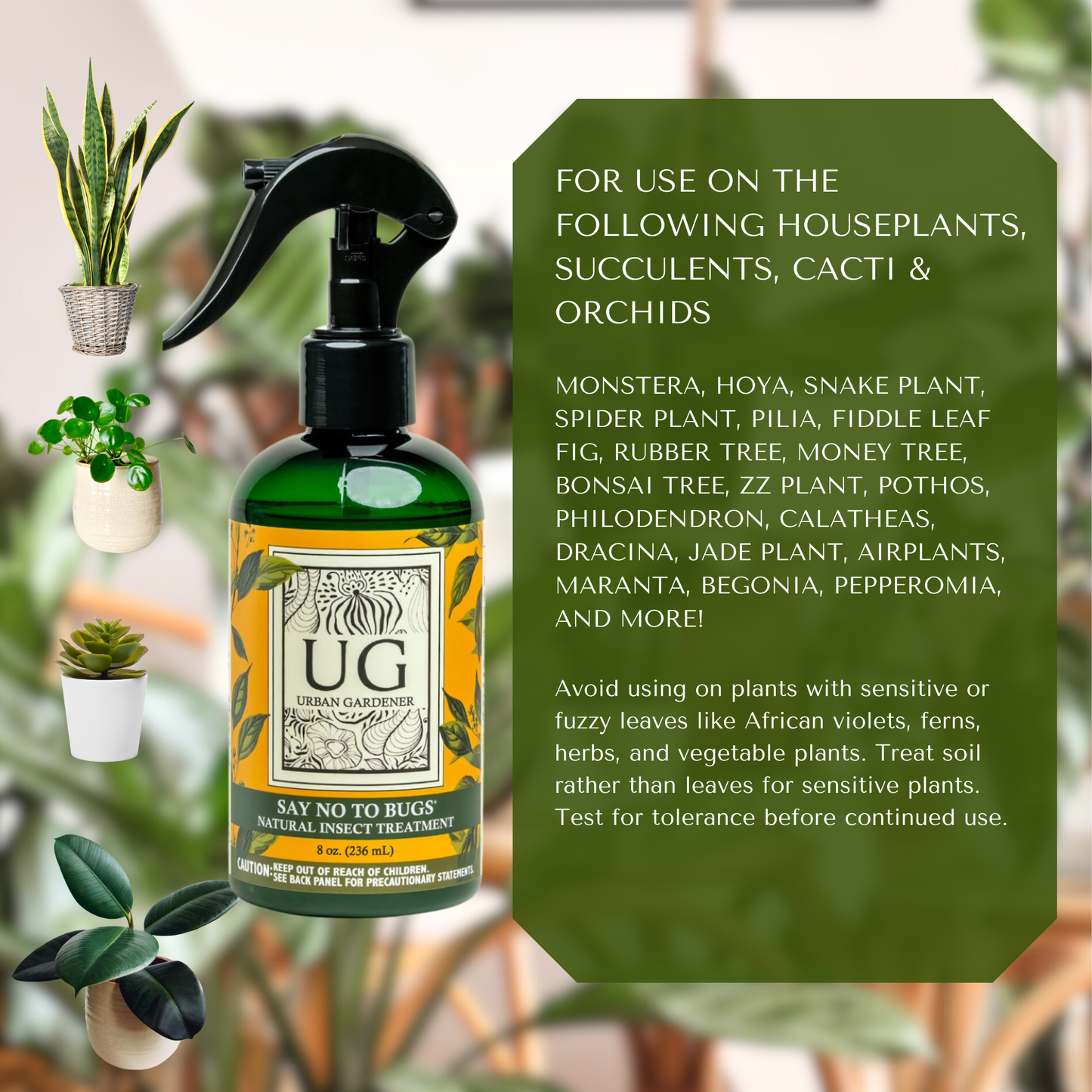 Say No To Bugs - Natural Insect Treatment