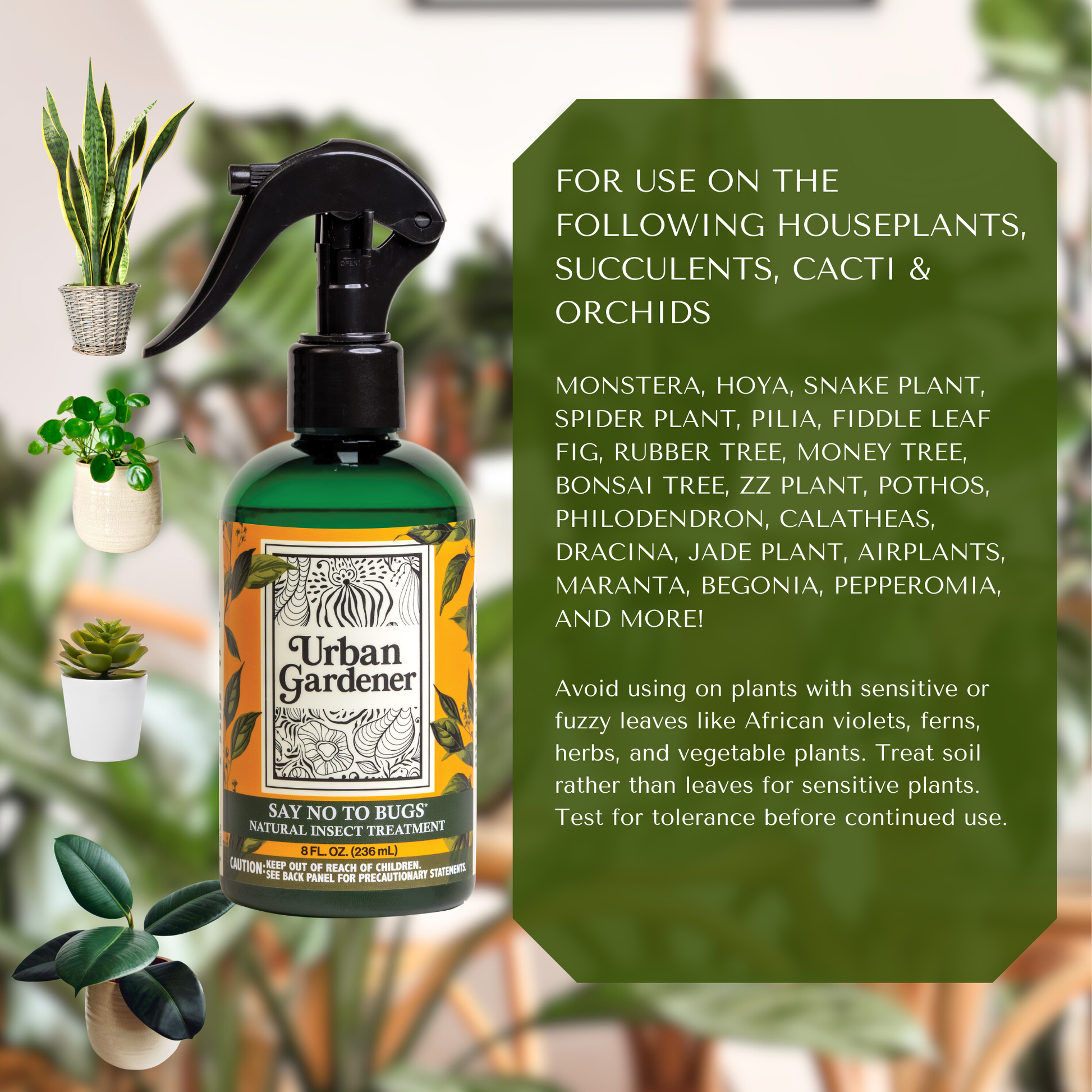 spray plants before bringing indoors Natural Houseplant Insect Treatment