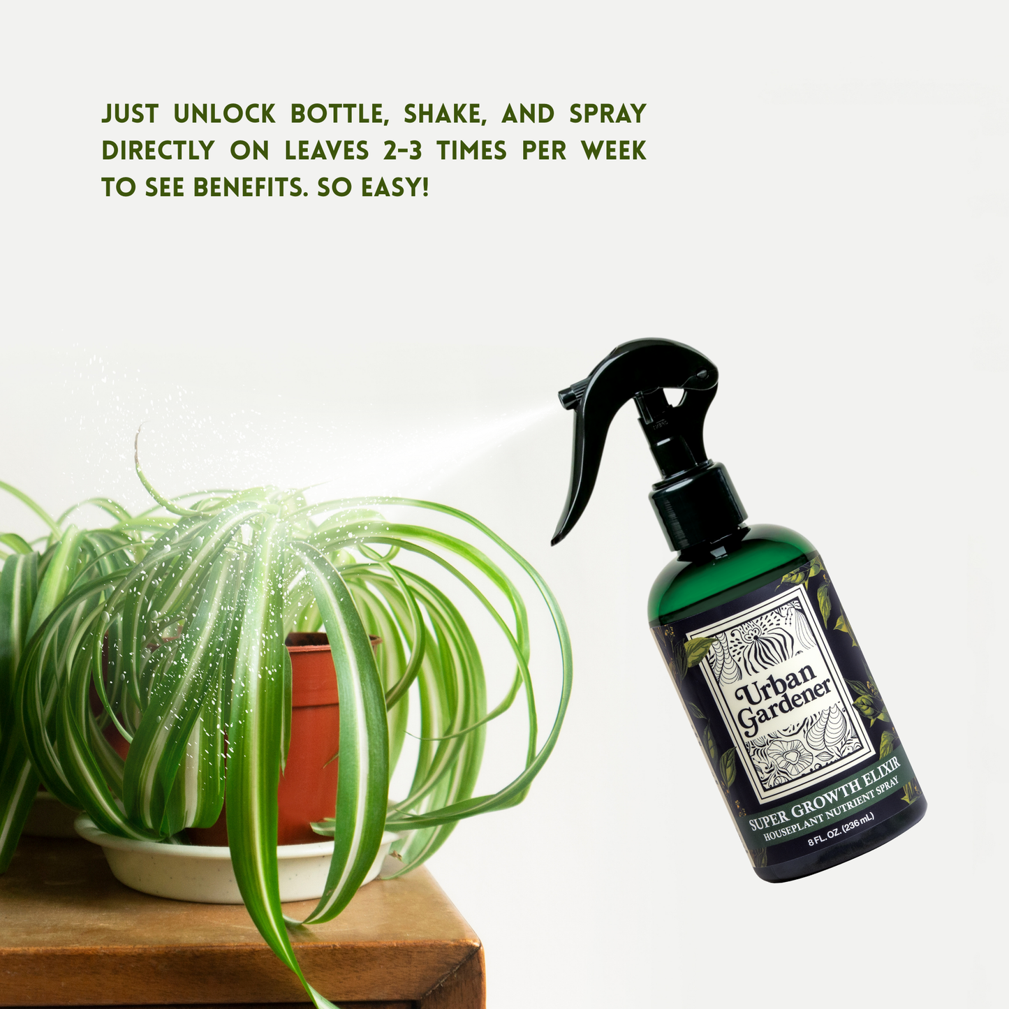 Houseplant Growth Spray | Foliar Feed for Indoor Plants – Super Growth Elixir