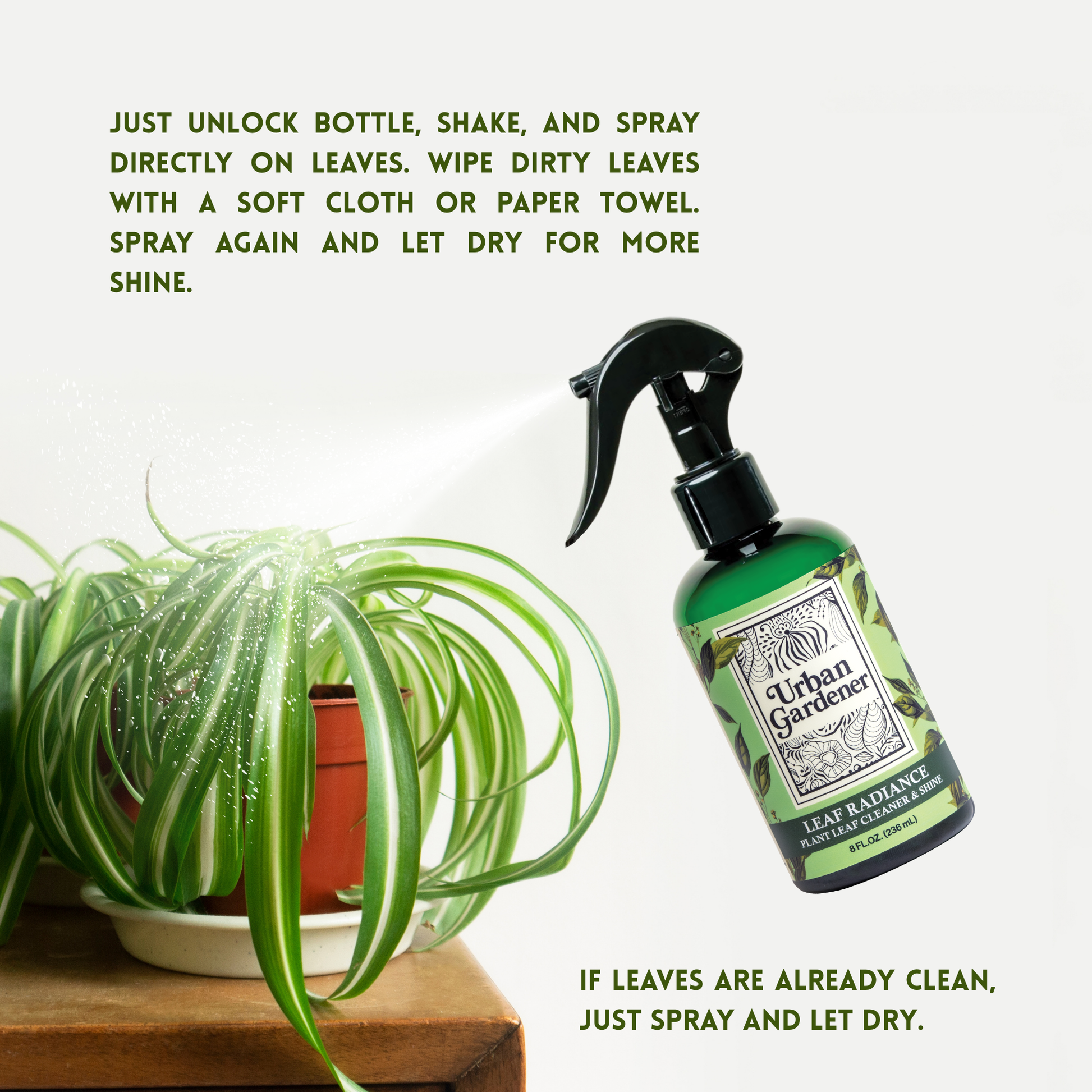 indoor plant spray for shiny leaves Discover Leaf Radiance