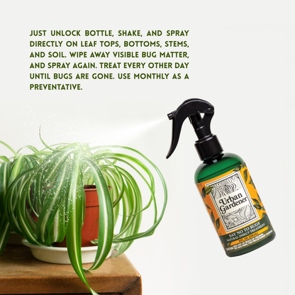 best spray for gnats on indoor plants Natural Insects Treatment for houseplants – Urban Gardener