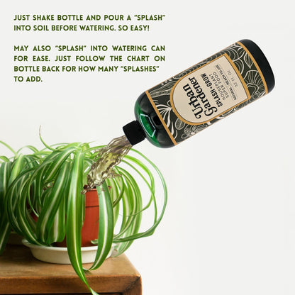 Houseplant Soil Super Food - Splash + Grow | Natural liquid Superfood soil treatment for houseplants | Just splash into soil!