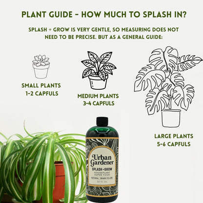 Houseplant Soil Super Food - Splash + Grow | Natural liquid Superfood soil treatment for houseplants | Just splash into soil!