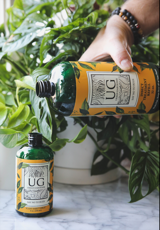 Refill Bottles 3-Pack