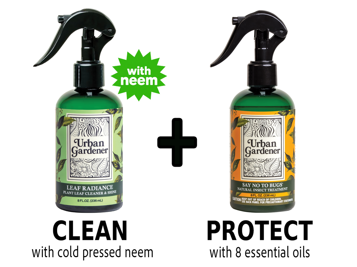 Clean & Treat bundle with 8 oz Leaf Radiance and 8 oz Say No to Bugs