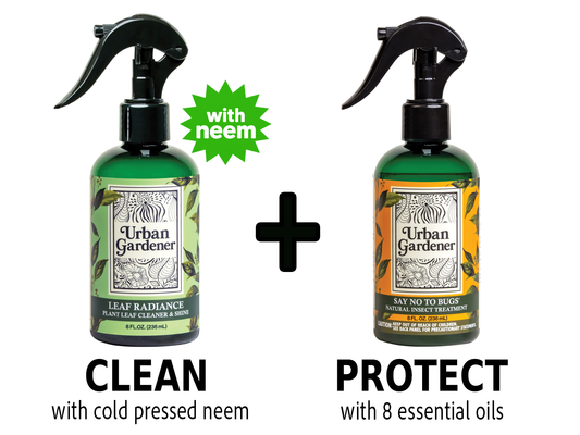 Clean & Treat bundle with 8 oz Leaf Radiance and 8 oz Say No to Bugs