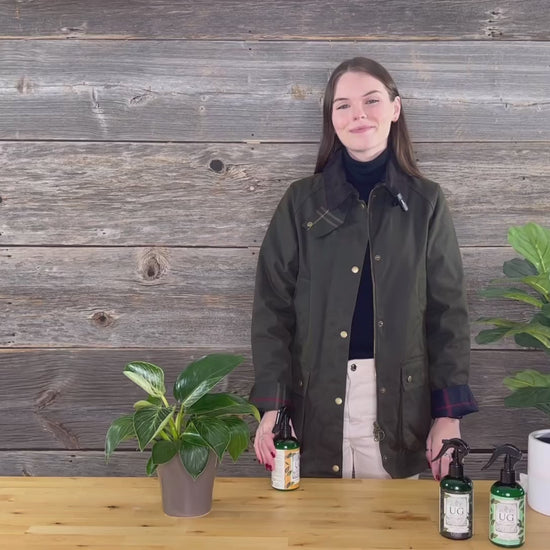 Natural Insect Treatment
