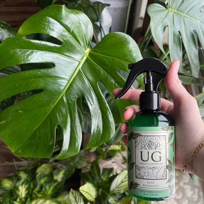 Leaf Shine Spray